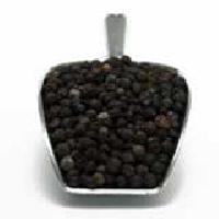 Black Pepper