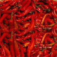 Chilli Pepper