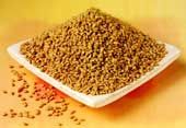 Fenugreek