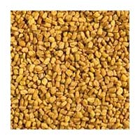 Fenugreek