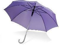 ladies umbrella