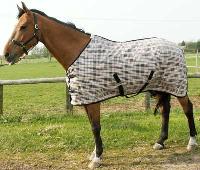 horse blankets