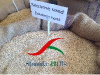 Ethiopian Sesame Seeds