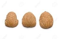 Walnut Shells