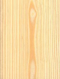 khasi pine sawm timber