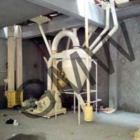 Besan Plant