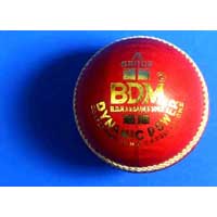Cricket Ball Dynamic Power