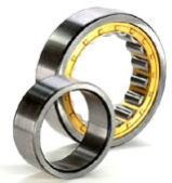 Single-Row Cylindrical Roller Bearings