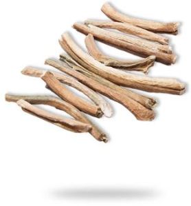 Indian Rustica Stems