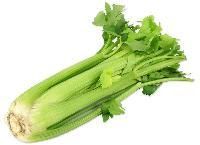 Celery