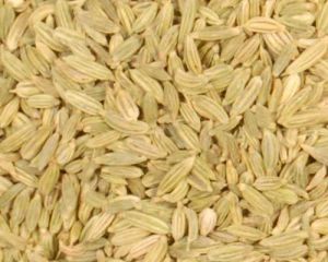 Fennel Seeds