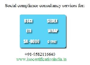 Individual Consultant Bsci Certification Services Jsipur, Jodhpur