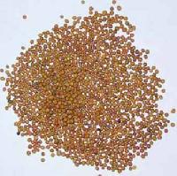 Mustard Seeds - 02