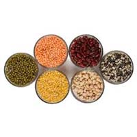 Pulses