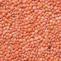 Pulses