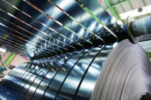 Hot Dip Galvanized Steel Coils