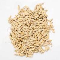 White Oats