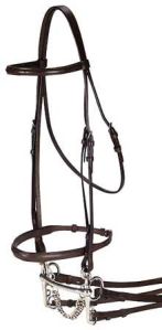 04 horse bridle