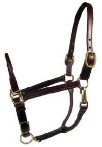 Leather Cob Halter