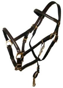 Leather Halter Bridle