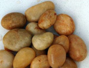 Golden River Natural Pebbles Stones