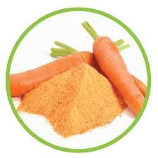 dehydrated carrot powder