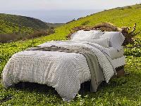 organic bed linens