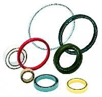 Ptfe Seals