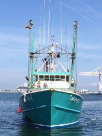 fishing boats