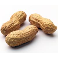 Raw Peanuts