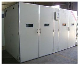 Eps Sandwich Prefabricated Panel