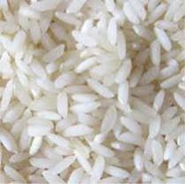 Sona Masoori Rice