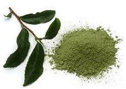 Green Tea Leaves Powder