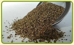 Celery Seeds