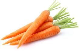 Fresh Carrot