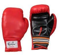 Red Prokyde Rookie Boxing Gloves (Size 6)