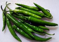 Fresh Green Chilli