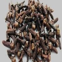 cloves seeds