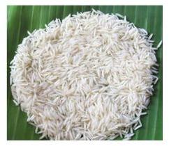 steamed rice