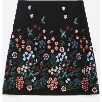 embroidered skirt