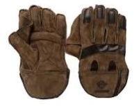 Wicket Keeping Gloves