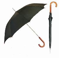 fancy umbrella