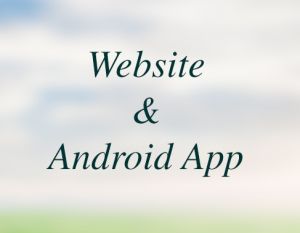 Website, Web Application and Custom Software Development Services