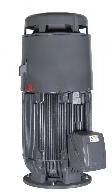 vertical motors