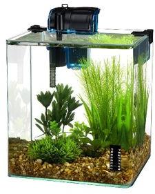 aquarium tank