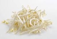 bean sprouts