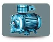 Industrial Electric Motors