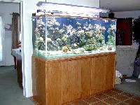 marine aquariums