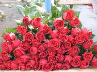 fresh rose bouquets