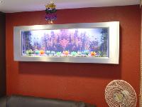 wall mounted photo frame aquariums